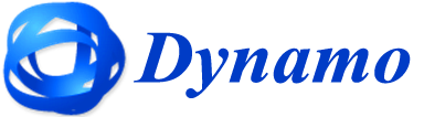 Dynamo DNS